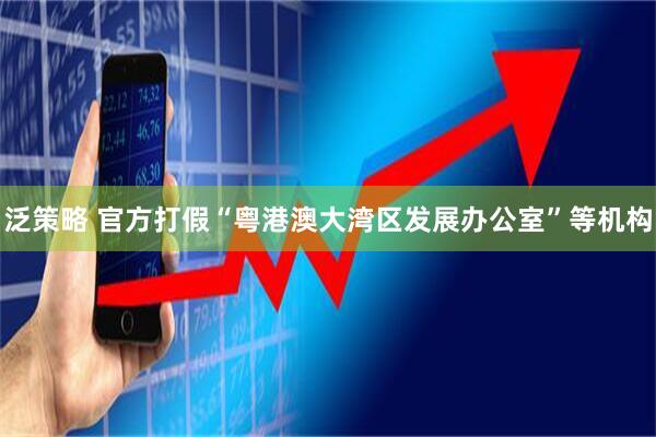 泛策略 官方打假“粤港澳大湾区发展办公室”等机构