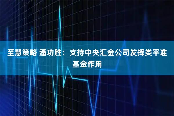 至慧策略 潘功胜：支持中央汇金公司发挥类平准基金作用