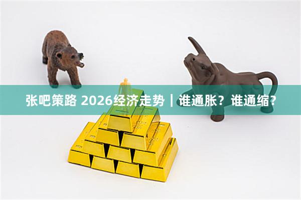 张吧策路 2026经济走势｜谁通胀？谁通缩？