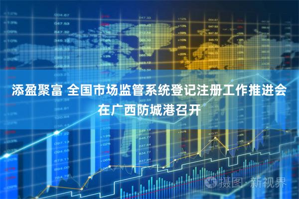 添盈聚富 全国市场监管系统登记注册工作推进会在广西防城港召开