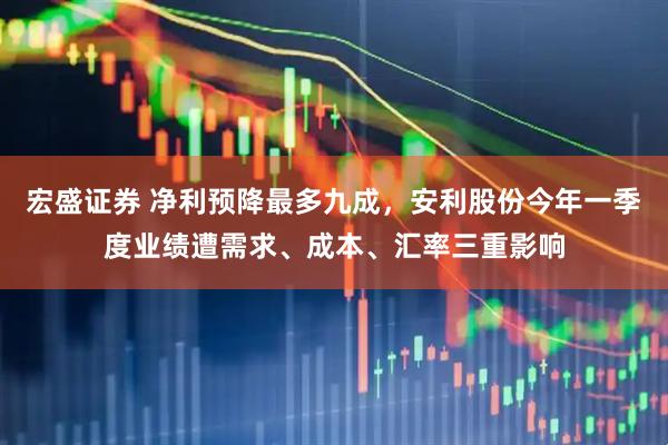 宏盛证券 净利预降最多九成，安利股份今年一季度业绩遭需求、成本、汇率三重影响