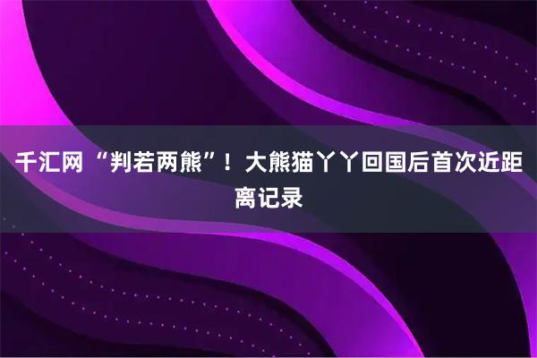千汇网 “判若两熊”！大熊猫丫丫回国后首次近距离记录
