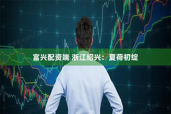 富兴配资端 浙江绍兴：夏荷初绽