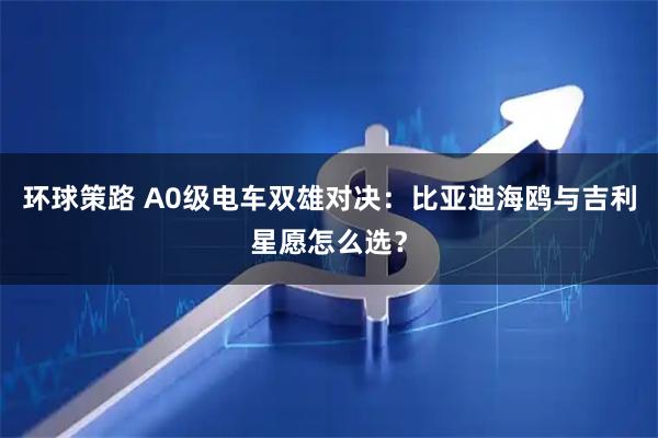 环球策路 A0级电车双雄对决：比亚迪海鸥与吉利星愿怎么选？