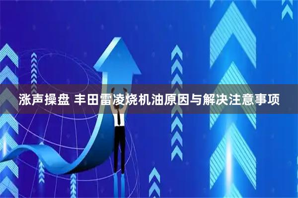 涨声操盘 丰田雷凌烧机油原因与解决注意事项