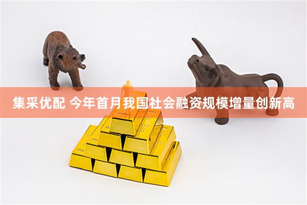 集采优配 今年首月我国社会融资规模增量创新高
