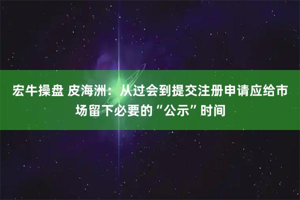 宏牛操盘 皮海洲：从过会到提交注册申请应给市场留下必要的“公示”时间