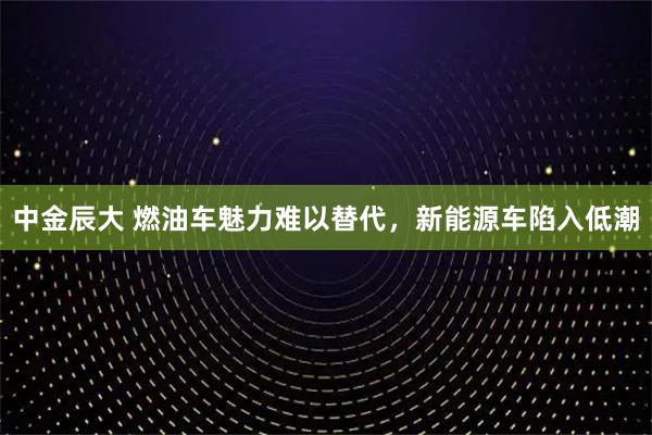 中金辰大 燃油车魅力难以替代，新能源车陷入低潮