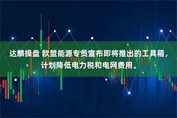 达麟操盘 欧盟能源专员宣布即将推出的工具箱，计划降低电力税和电网费用。