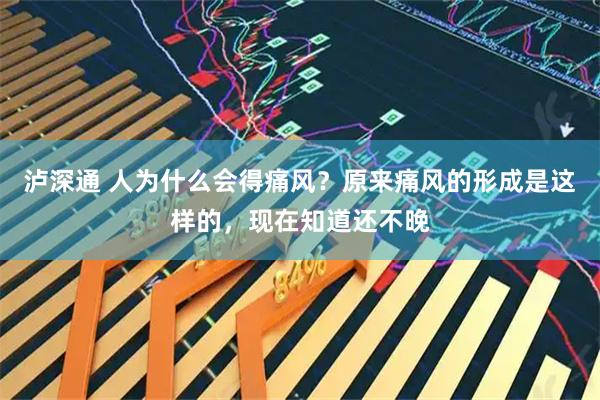 泸深通 人为什么会得痛风？原来痛风的形成是这样的，现在知道还不晚