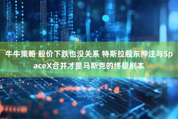 牛牛策略 股价下跌也没关系 特斯拉股东押注与SpaceX合并才是马斯克的终极剧本