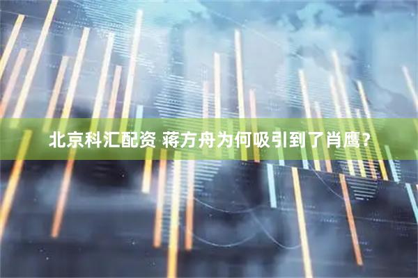 北京科汇配资 蒋方舟为何吸引到了肖鹰？