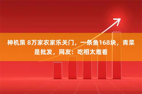 神机策 8万家农家乐关门，一条鱼168块，青菜是批发，网友：吃相太难看