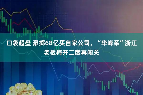 口袋超盘 豪掷68亿买自家公司，“华峰系”浙江老板梅开二度再闯关